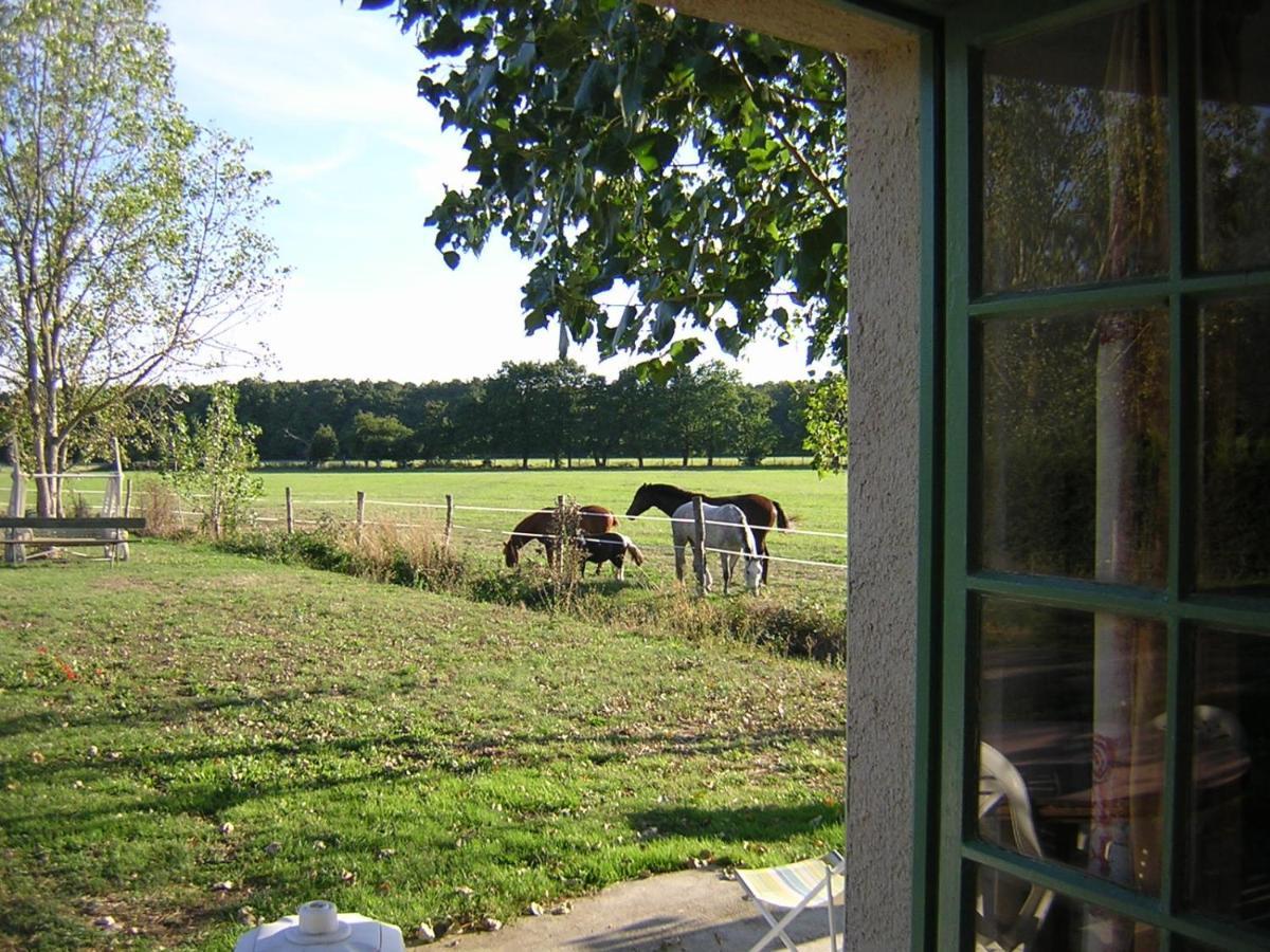 Chambre D'Hote De L'Elevage Du Lattay Les Hauts-d'Anjou Exterior foto